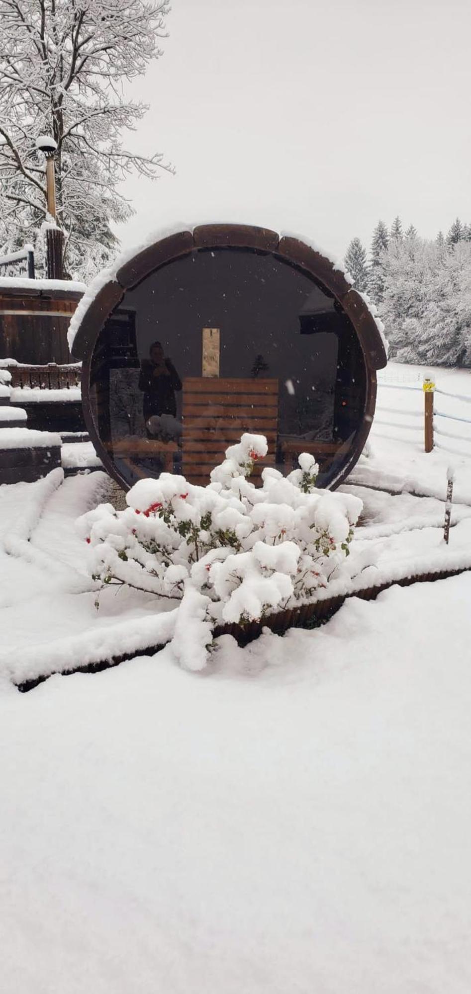 Les Chalets De Ludran Viuz-en-Sallaz Exterior photo